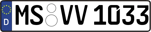 MS-VV1033