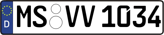 MS-VV1034