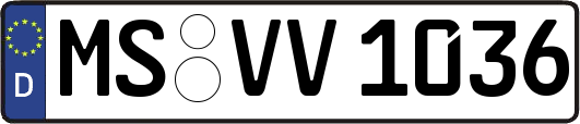 MS-VV1036