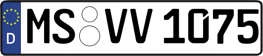 MS-VV1075