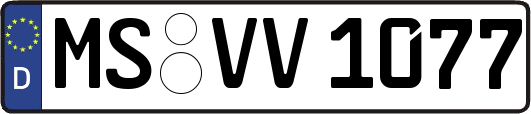 MS-VV1077
