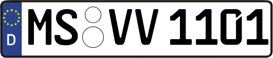 MS-VV1101