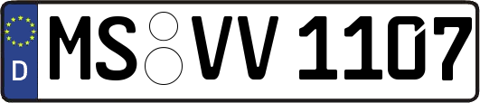 MS-VV1107