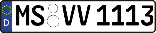 MS-VV1113