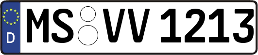 MS-VV1213