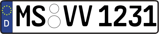 MS-VV1231