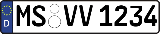 MS-VV1234