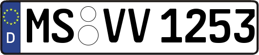 MS-VV1253