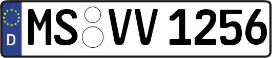 MS-VV1256