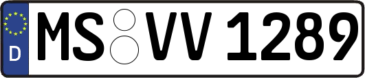 MS-VV1289