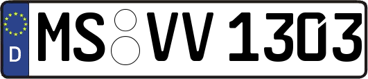 MS-VV1303