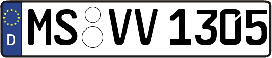 MS-VV1305