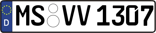 MS-VV1307
