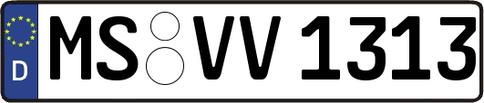 MS-VV1313