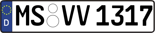 MS-VV1317
