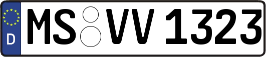 MS-VV1323