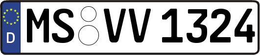 MS-VV1324