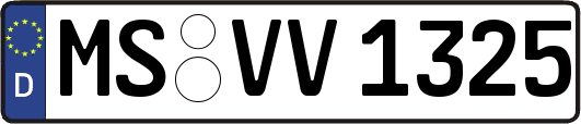 MS-VV1325
