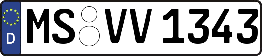 MS-VV1343