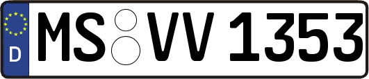 MS-VV1353