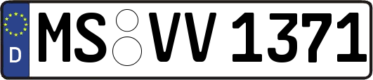 MS-VV1371