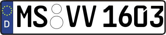 MS-VV1603