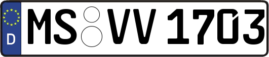 MS-VV1703