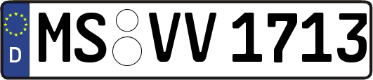 MS-VV1713