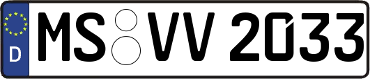 MS-VV2033