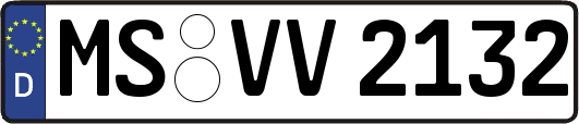 MS-VV2132