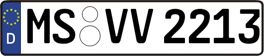 MS-VV2213