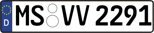 MS-VV2291