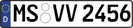 MS-VV2456