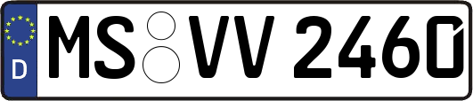 MS-VV2460