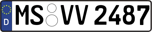MS-VV2487