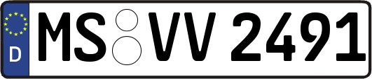 MS-VV2491