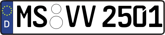 MS-VV2501