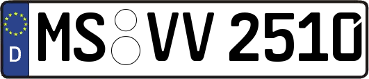 MS-VV2510