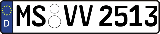 MS-VV2513