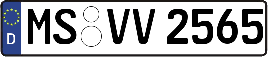 MS-VV2565