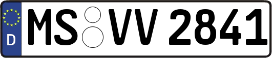 MS-VV2841