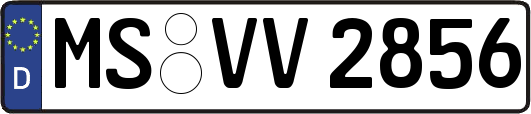MS-VV2856