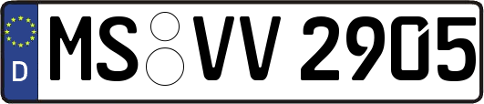 MS-VV2905