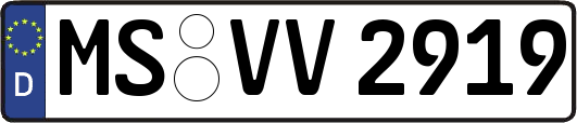 MS-VV2919