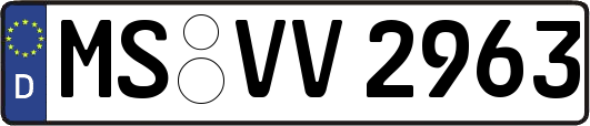 MS-VV2963
