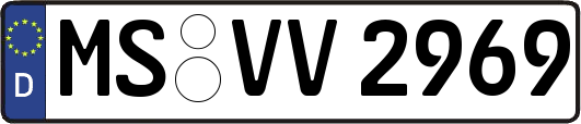 MS-VV2969