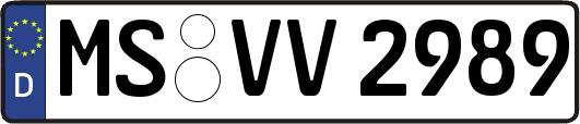 MS-VV2989