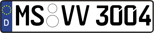 MS-VV3004
