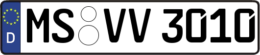 MS-VV3010