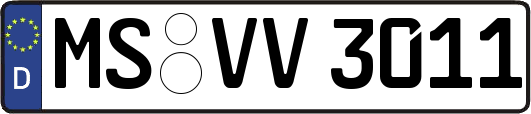 MS-VV3011